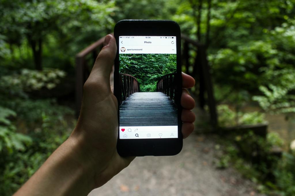Hand holding phone showing an image of a forest trail.